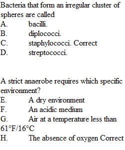 Week 3 Quiz